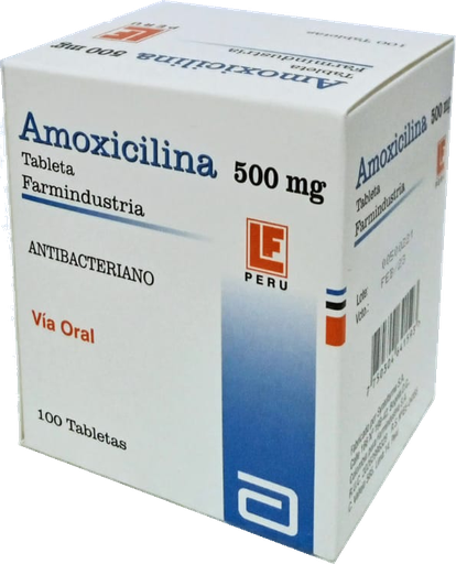 [06/26.02310624] Amoxicilina 500mg x 100Tab